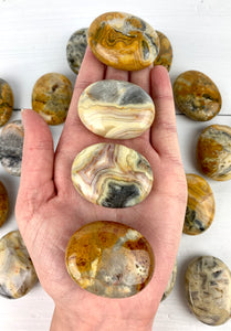 Crazy Lace Agate Palm Stone